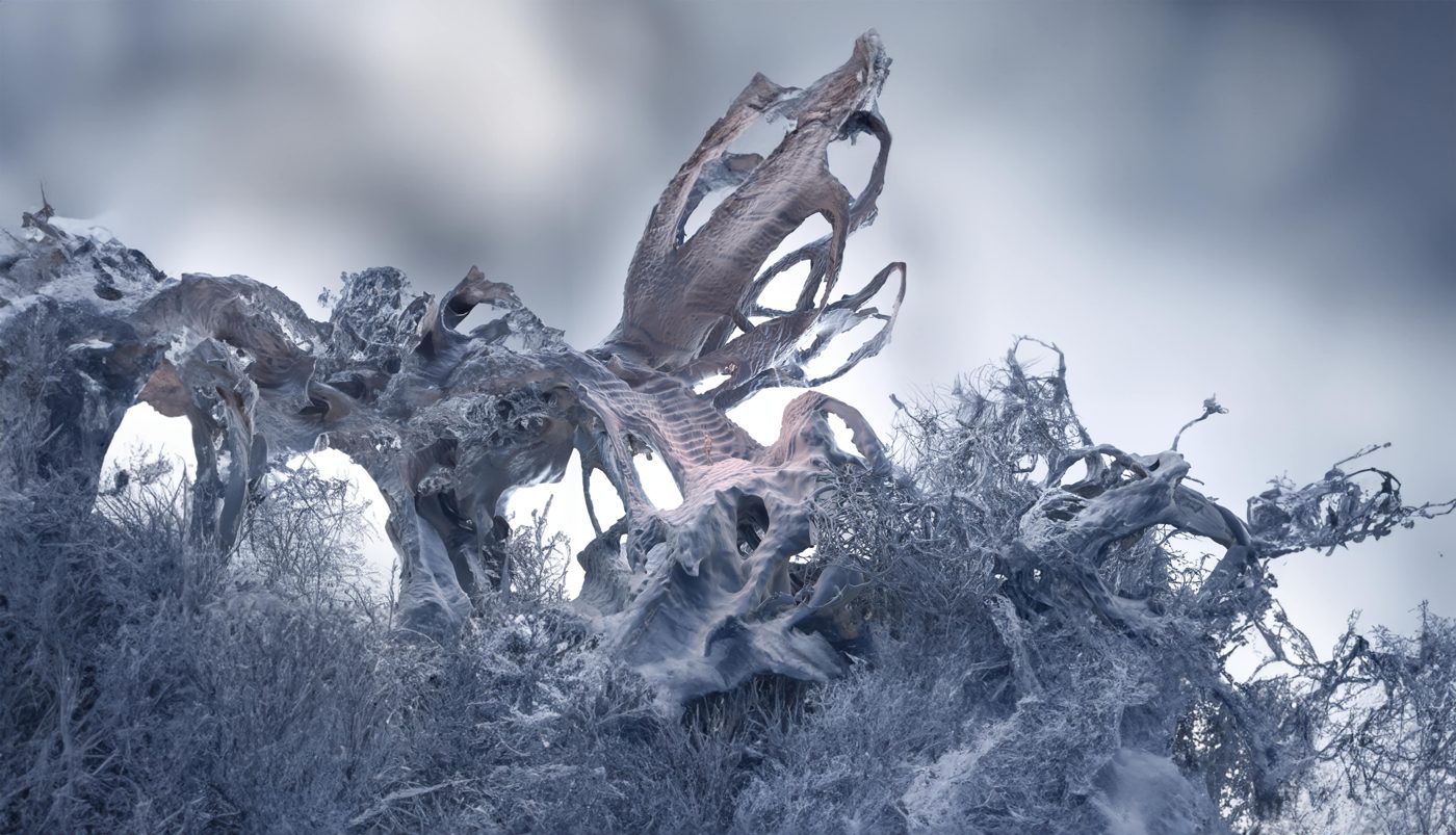 Expanded wide render of the form in a landscape